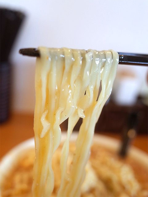 日本屈指のラーメン県・新潟でいま大人気！辛ウマ「麻婆麺」の名店６選