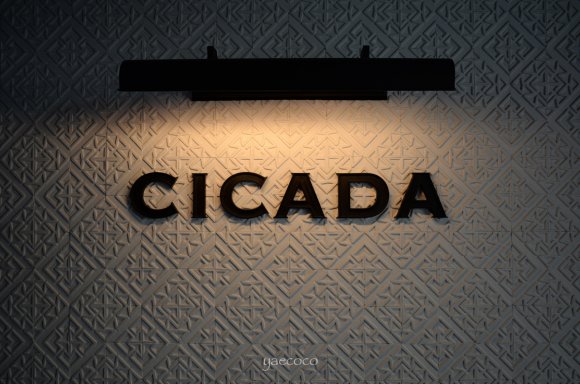 表参道でリゾートランチが楽しめる地中海料理店 CICADA
