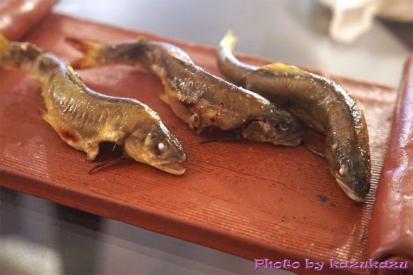 和牛から真鯛、稚鮎まで！旬の鮮魚を使った料理が評判な炭火創作料理店