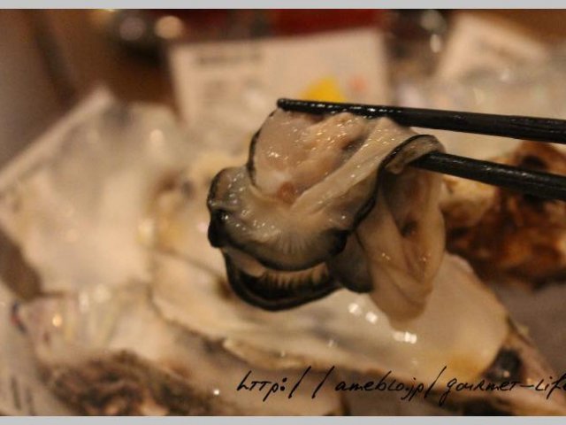 1年中牡蠣を楽しめる！渋谷の牡蠣専門店「オストレア」のお得なランチ