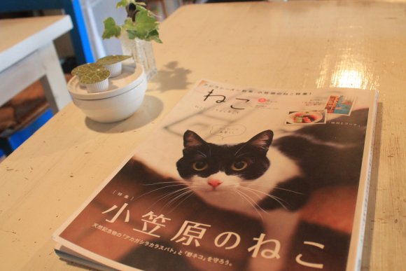 夏限定で営業中！知る人ぞ知る横浜一の人気隠れ家カフェ