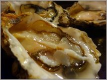 牡蠣食べ比べにカキフライ！美味しい牡蠣が味わえる食通オススメのお店
