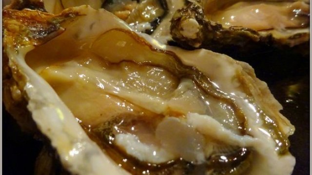 牡蠣食べ比べにカキフライ！美味しい牡蠣が味わえる食通オススメのお店