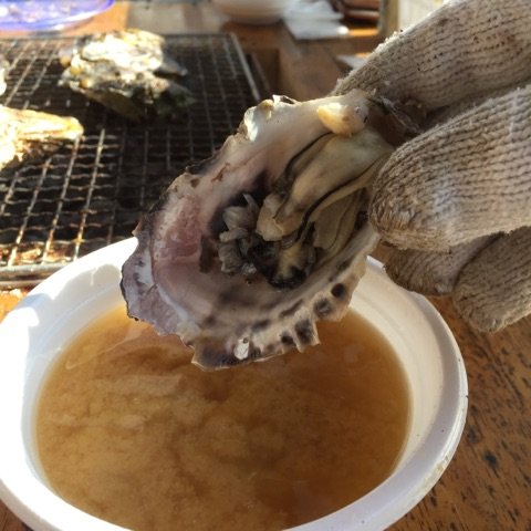 殻付き牡蠣を炭火焼きで好きなだけ！冬限定・漁港で獲れたて牡蠣食べ放題