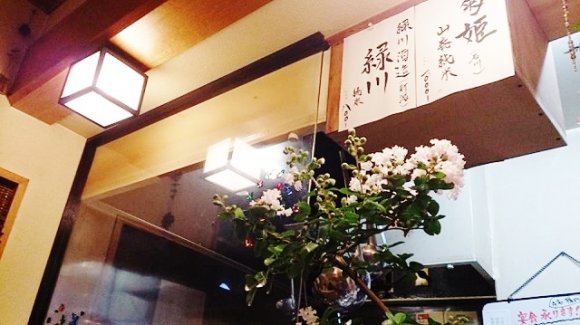 鳥取二大ご当地麺！素ラーメンとホルそばを堪能できる居酒屋