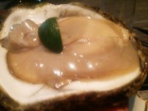 渋谷駅近の超穴場！ズワイガニ・牡蠣・こぼれ寿司で海鮮三昧