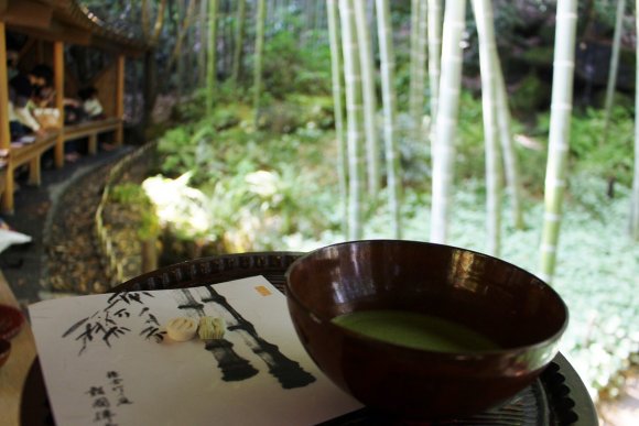 【鎌倉】お抹茶と竹の庭園に癒される報国寺「休耕庵」