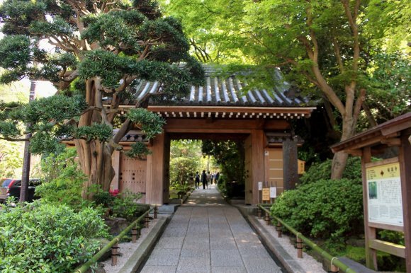 温泉や観光とともに行くべき、鎌倉・箱根・熱海の名店６記事