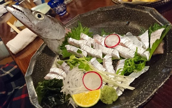 名物「河豚ざく」に太刀魚の刺身！地元で採れた新鮮魚介と日本酒を楽しむ