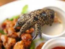 ワニ！カンガルー！アボトン！激レア肉料理がいただける肉バル