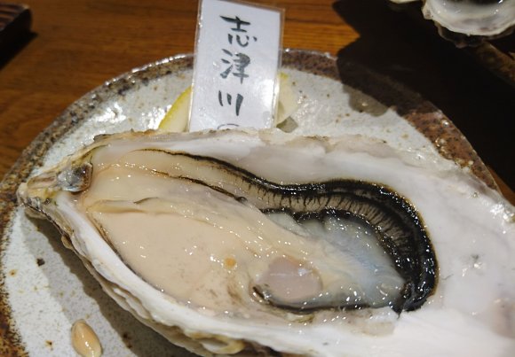 獲れたての味を堪能！新橋の「こだはる」で全国の美味しい牡蠣と日本酒を
