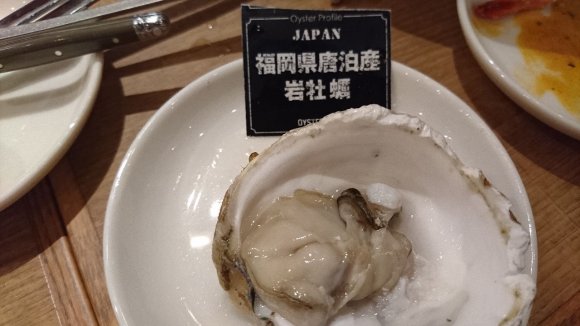 ミルキーな15種の生牡蠣食べ比べ！ワインも飲み放題な新宿駅激近のお店